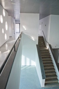 diseno-nucleo-vertical-escuela-danza